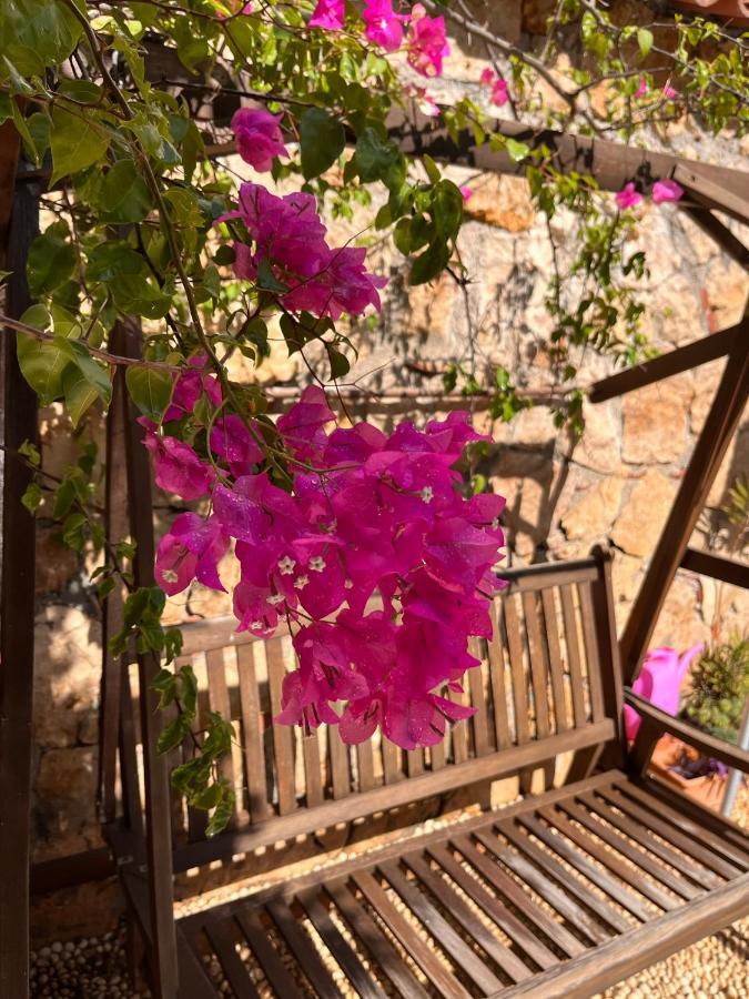 Kaleici Hotel Αττάλεια Εξωτερικό φωτογραφία