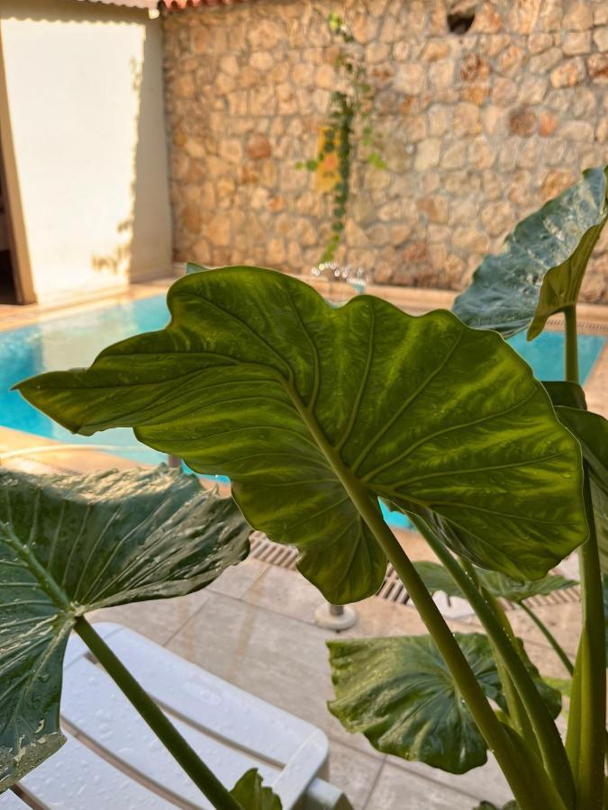 Kaleici Hotel Αττάλεια Εξωτερικό φωτογραφία